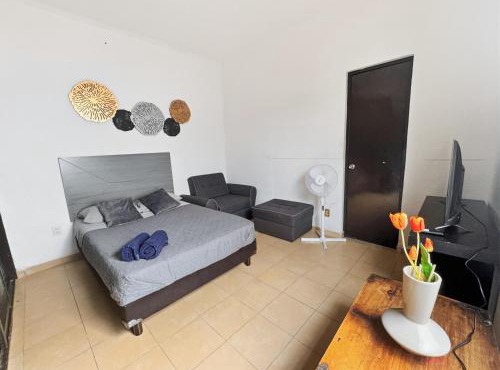 Lofts Tequisquiapan