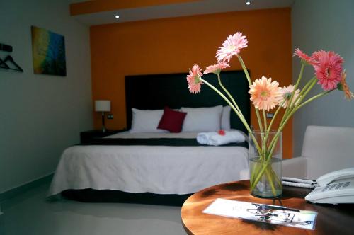 Hotel Casa Palomino