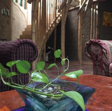 Casa Bambú Veracruz